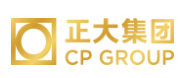 东至正大集团
