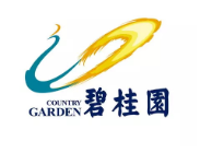 东至碧桂园地产